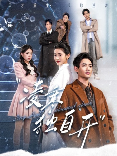 短剧《凌寒独自开》