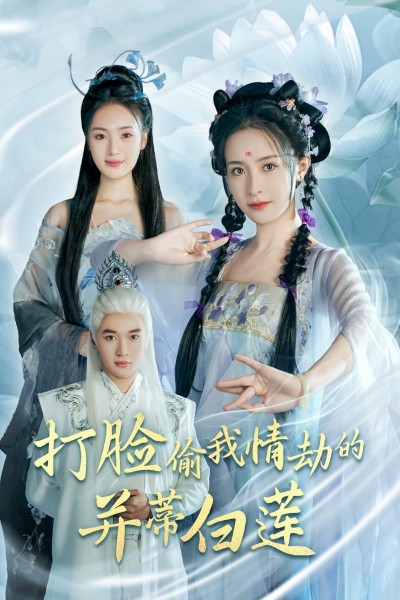 《打脸偷我情劫的并蒂白莲》短剧高清全集免费在线观看播放完整版