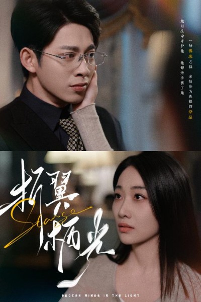 《折翼栖光》短剧高清全集免费在线观看播放完整版