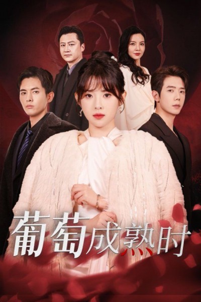 《葡萄成熟时》短剧高清全集免费在线观看播放完整版