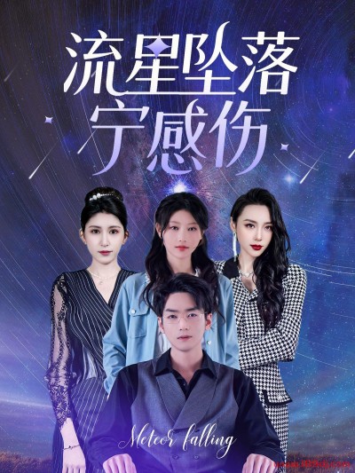 《流星坠落宁感伤》短剧高清全集免费在线观看播放完整版