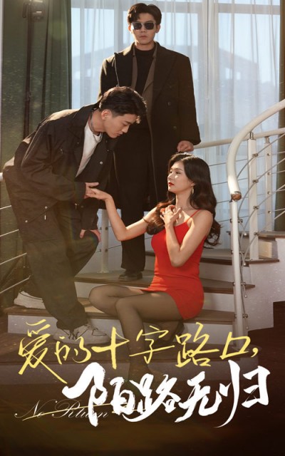 《爱的十字路口陌路无归》短剧高清全集免费在线观看播放完整版