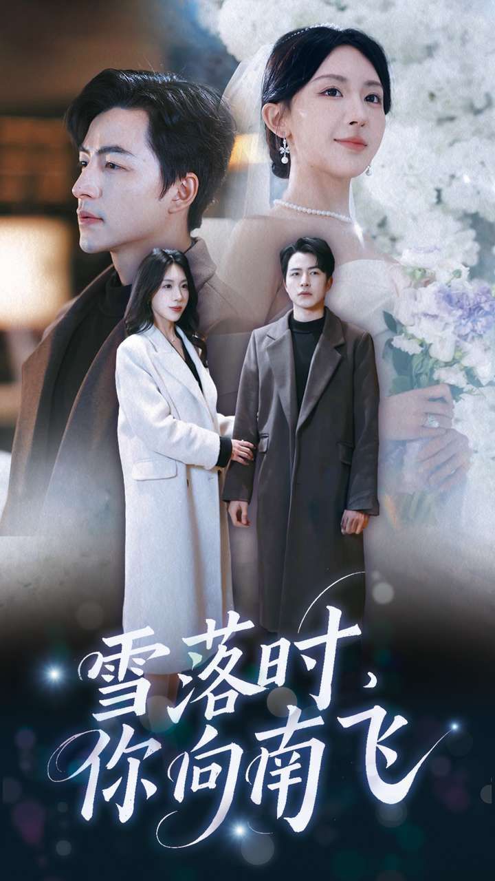 《雪落时你向南飞》短剧高清全集免费在线观看播放完整版 雪落时你向南飞,雪落时你向南飞短剧,雪落时你向南飞网剧,短剧雪落时你向南飞,雪落时你向南飞全集,雪落时你向南飞免费在线观看,雪落时你向南飞完整版,雪落时你向南飞网盘资源,雪落时你向南飞夸克资源,雪落时你向南飞夸克网盘 第1张 《雪落时你向南飞》短剧高清全集免费在线观看播放完整版 雪落时你向南飞,雪落时你向南飞短剧,雪落时你向南飞网剧,短剧雪落时你向南飞,雪落时你向南飞全集,雪落时你向南飞免费在线观看,雪落时你向南飞完整版,雪落时你向南飞网盘资源,雪落时你向南飞夸克资源,雪落时你向南飞夸克网盘 第1张