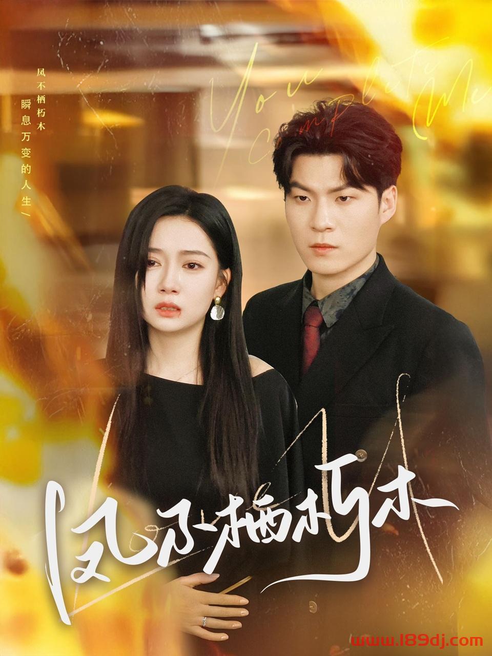 《凤不栖朽木》短剧高清全集免费在线观看播放完整版 凤不栖朽木,凤不栖朽木短剧,凤不栖朽木网剧,短剧凤不栖朽木,凤不栖朽木全集,凤不栖朽木免费在线观看,凤不栖朽木完整版,凤不栖朽木网盘资源,凤不栖朽木夸克资源,凤不栖朽木夸克网盘 第1张 《凤不栖朽木》短剧高清全集免费在线观看播放完整版 凤不栖朽木,凤不栖朽木短剧,凤不栖朽木网剧,短剧凤不栖朽木,凤不栖朽木全集,凤不栖朽木免费在线观看,凤不栖朽木完整版,凤不栖朽木网盘资源,凤不栖朽木夸克资源,凤不栖朽木夸克网盘 第1张